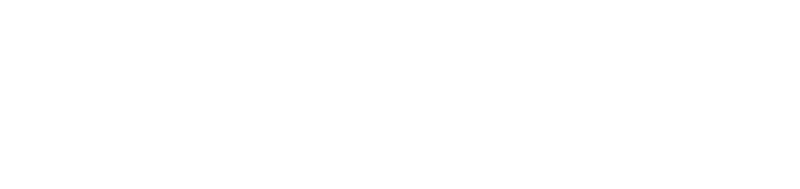 KLS Martin Group